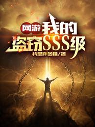 网游我的盗窃SSS级 第501章