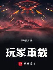 玩家重载无错版