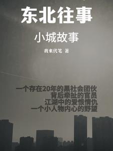 东北往事第17集