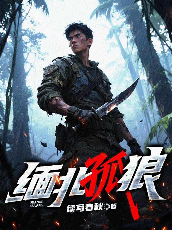 缅甸孤军