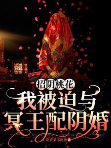 冥王妻全文免费阅读
