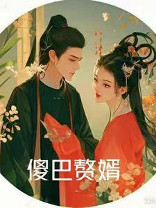 傻婿全集