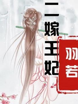 二嫁王妃好看吗