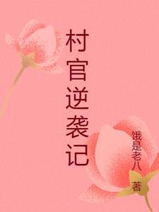 村官完结篇排行榜