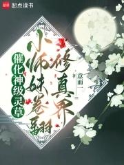 小师妹技能升级