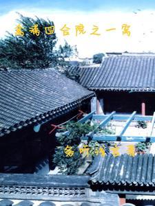 穿越情满四合院