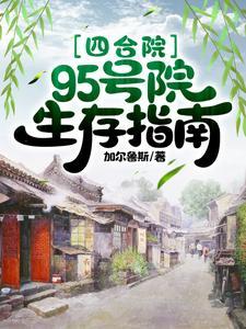 四合院95号院生存指南作者加尔鲁斯