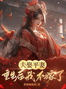 娶了平妻夫人改嫁了