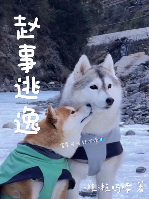 肇事逃逸怎么认定