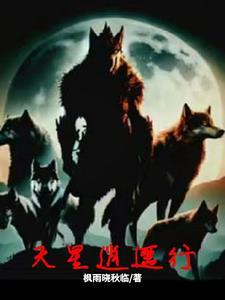 心星逍遥有几部
