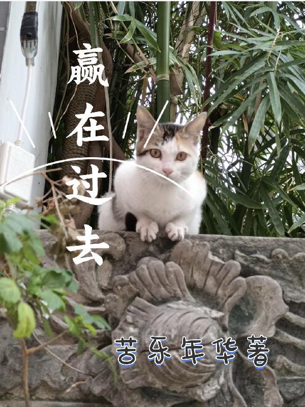 赢在今天 胜在未来