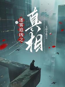 迷雾追凶大结局