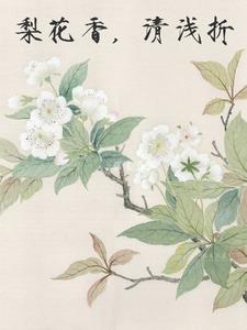 梨花淡白柳深青是什么生肖