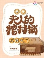 将军夫人3