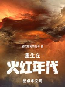 重生火红年代奇书网
