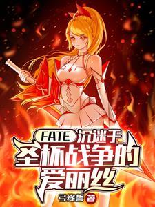 fate里圣杯