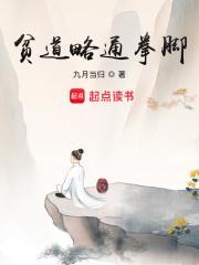 贫道略通拳脚免费完整版