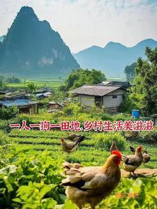 最牛小医仙