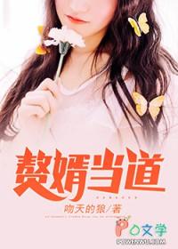赘婿当道好看吗