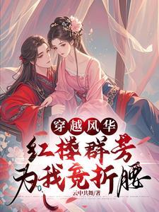 穿越红楼的大全
