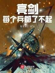 亮剑:一亿碎片