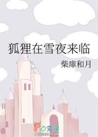 狐狸在雪夜来临