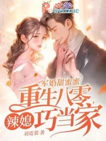 军婚甜蜜蜜,重生八零辣媳巧当家