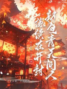 新包青天同人,缘续在开封